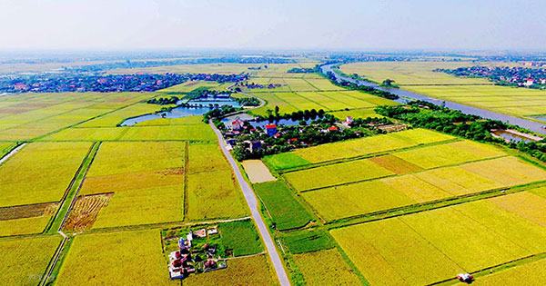 Cán bộ, công chức không được mua đất nông nghiệp?