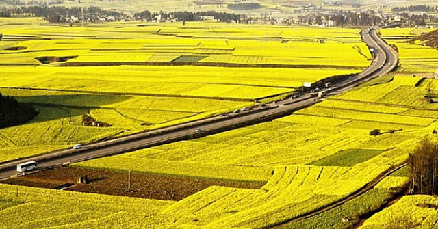 Hạn mức giao đất nông nghiệp theo quy định