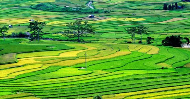 Tổng hợp hành vi bị nghiêm cấm trong lĩnh vực đất đai