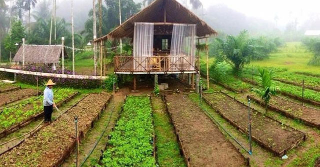 Xây nhà trên đất nông nghiệp bị xử phạt như thế nào?