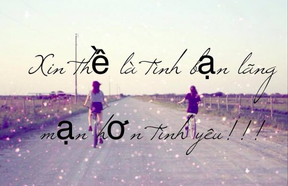 Stt chất về tình bạn đẹp