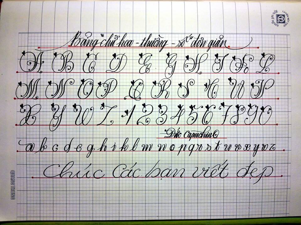 Chữ hoa cách điệu đẹp