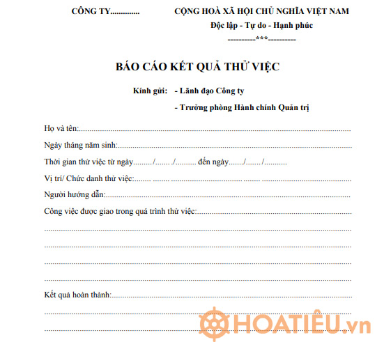 Báo cáo kết quả thử việc