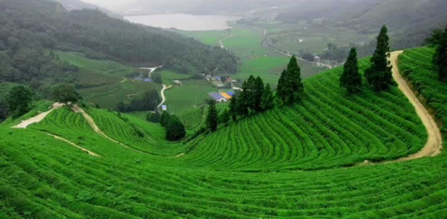 Thời hạn sử dụng đất do Nhà nước giao, cho thuê