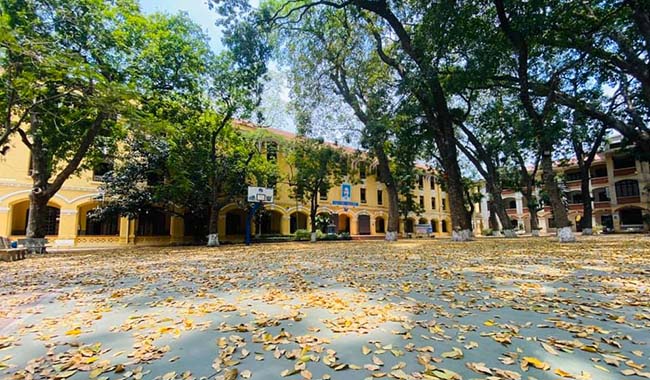 Stt năm học mới