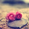 Stt hay ngày đầu tháng, lời chúc đầu tháng hay nhất
