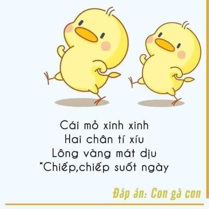Câu đố học sinh lớp 1