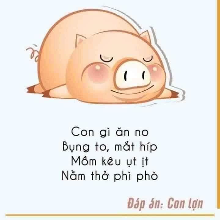 Câu đố lớp 1 về con vật