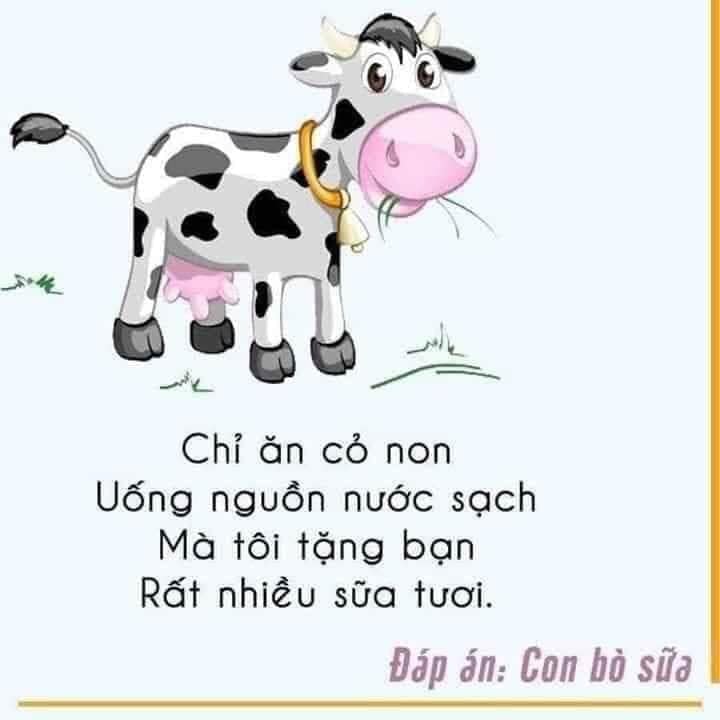 Những câu đố vui cho bé