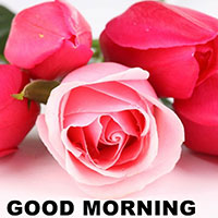 Lời chúc buổi sáng vợ yêu ngọt ngào