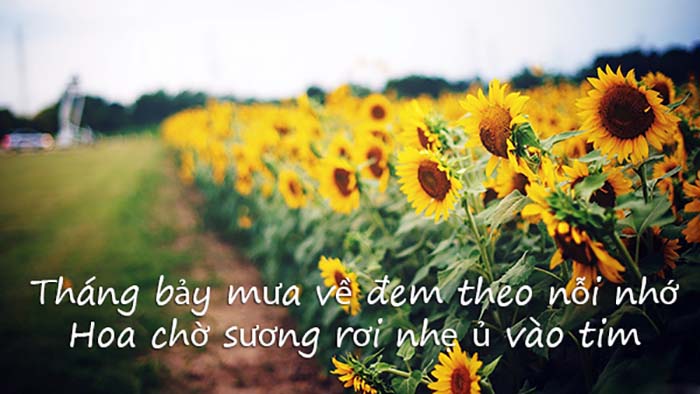 Lời chúc tháng cô hồn