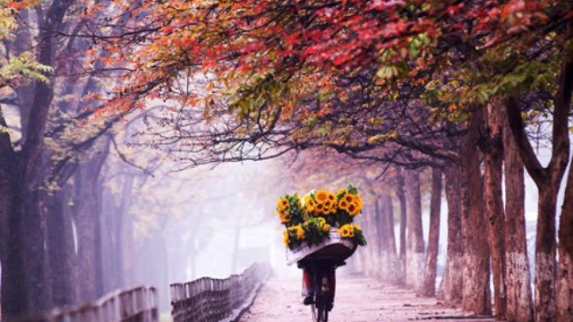 Bài dự thi Hà Nội trong tôi