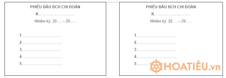 Mẫu phiếu bầu trong đại hội chi Đoàn
