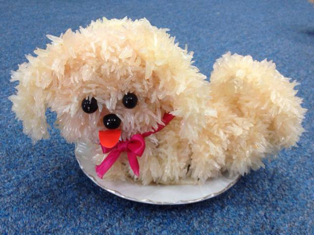 Cách tạo hình con chó từ quả bưởi