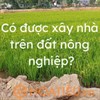 Có được xây nhà trên đất nông nghiệp không?