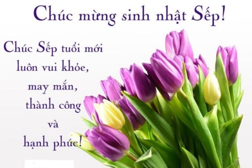 Lời chúc mừng sinh nhật Sếp hay và ý nghĩa