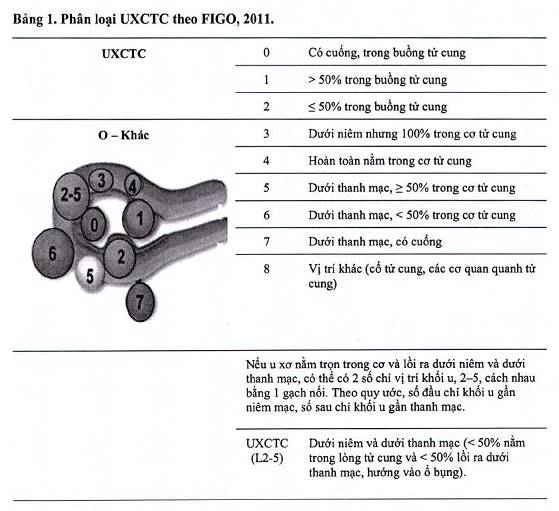 Quyết định 3780/QĐ-BYT 2019 xử trí u xơ tử cung