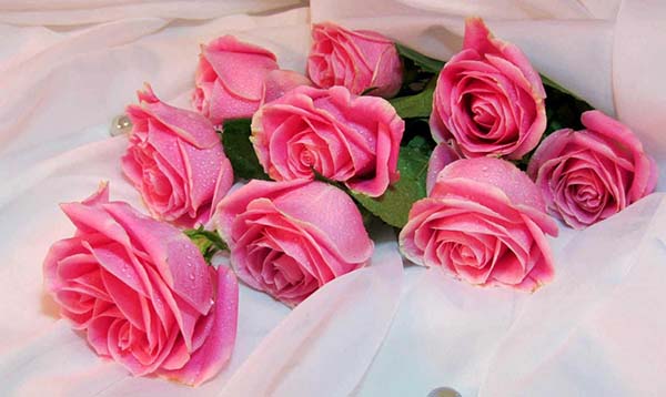 Lời chúc ngày doanh nhân việt nam