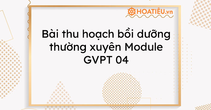 Bài thu hoạch bồi dưỡng thường xuyên Module GVPT 04