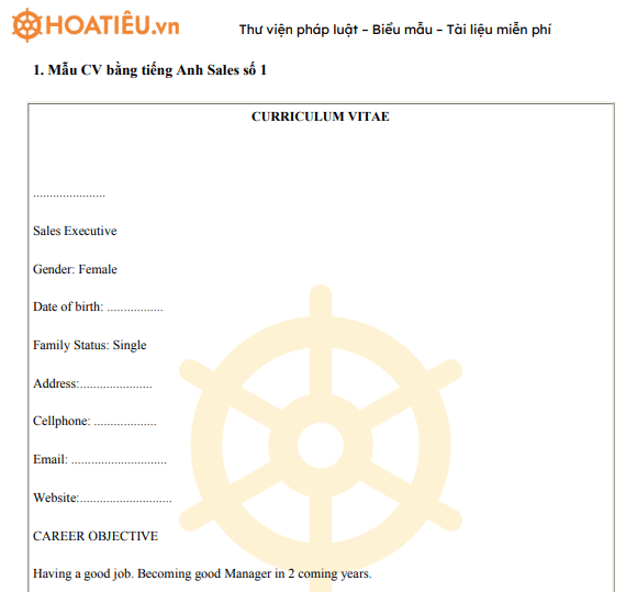 CV tiếng Anh nhân viên bán hàng
