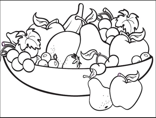 100 Mẫu Tranh Tô Màu Hình Hoa Quả đẹp Dành Cho Các Bé - Đề án 2020 - Tổng  Hợp Chia Sẻ Hình ảnh, Tranh Vẽ, Biểu Mẫu Trong Lĩnh Vực Giáo Dục