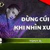 Lời bài hát Đừng Cúi Đầu Khi Nhìn Xuống - Tony D