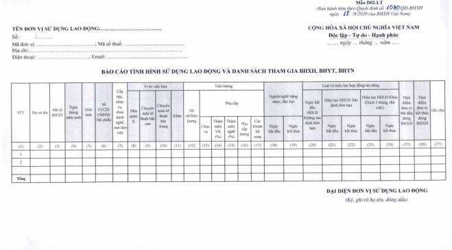 Hướng dẫn lập báo cáo tình hình sử dụng lao động mẫu D02-LT