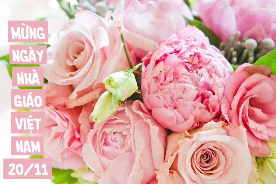 Hình ảnh đẹp về thầy cô giáo