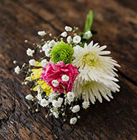 Lời chúc tháng 11 hay nhất