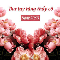 Top 17 Thư gửi thầy cô giáo nhân ngày Nhà giáo Việt Nam 20/11