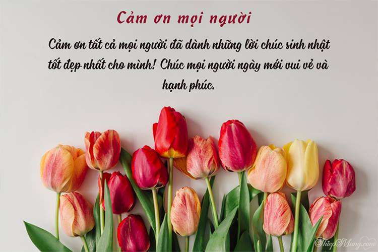 Những lời cảm ơn sinh nhật hài hước