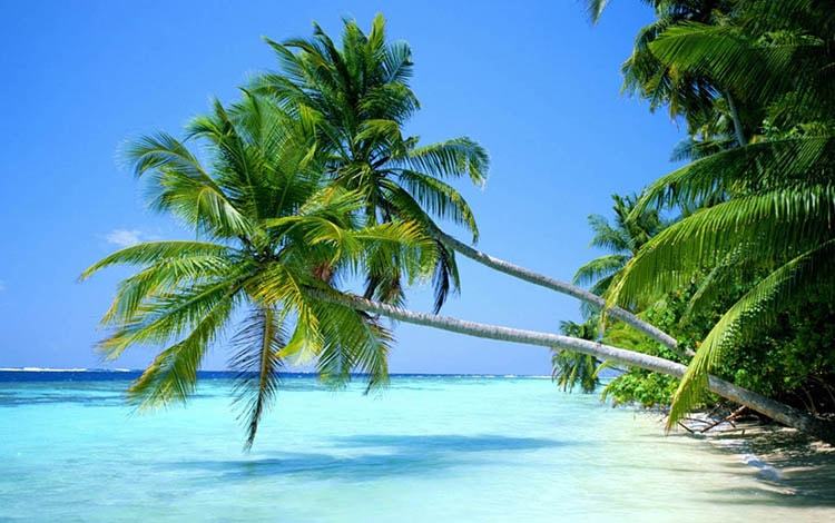 Top 10 bài văn tả cảnh đẹp ở địa phương em hay nhất