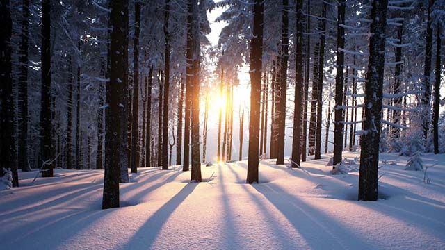 Thơ mùa đông hay