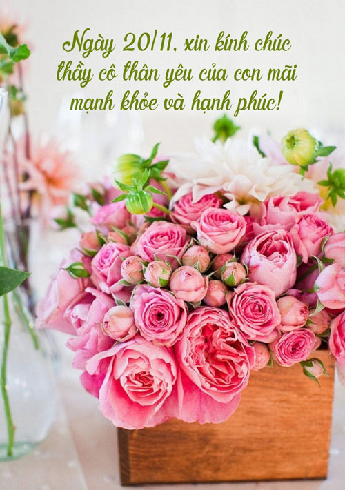 thiep 20 11 5*131283