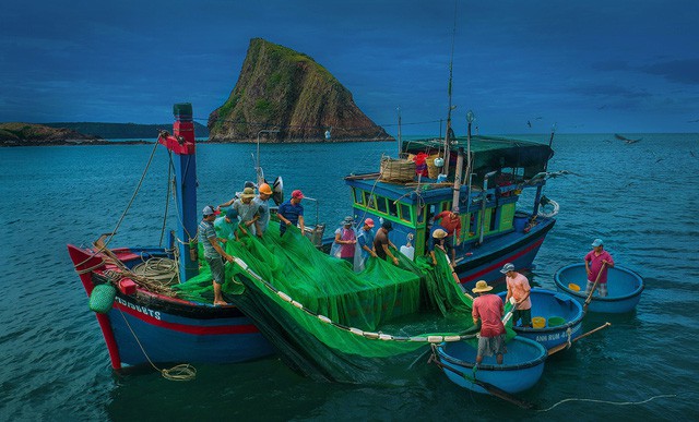 Cảm nhận đoàn thuyền đánh cá