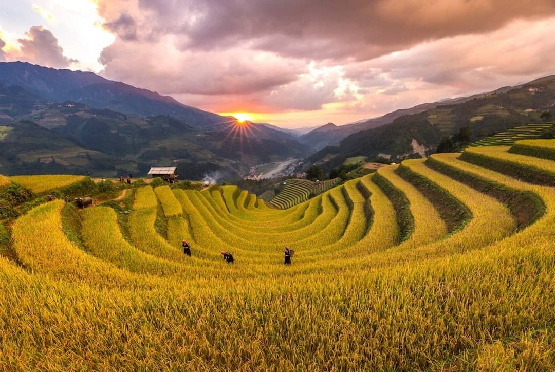 Tây Bắc gồm những tỉnh nào