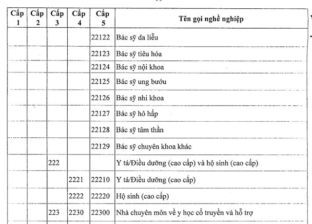 Danh mục nghề nghiệp Việt Nam 2024