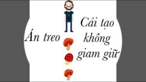 Điểm khác nhau giữa án treo và cải tạo không giam giữ
