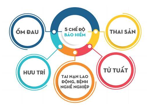 Sinh con thứ ba có được hưởng BHXH?