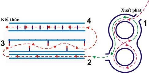 Điều kiện và lệ phí thi bằng lái xe A1