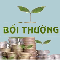 Những trường hợp người lao động phải bồi thường thiệt hại về tài sản 2024?