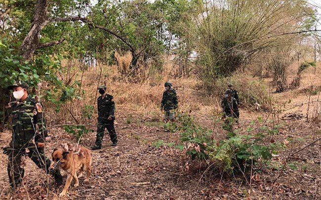 Tổ chức vượt biên trái phép mùa dịch phạt thế nào?
