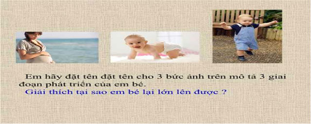 Gợi ý đáp án tự luận Mô đun 2 môn Khoa học tự nhiên THCS