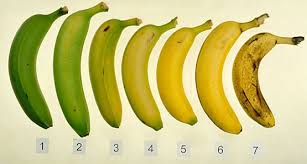 Chín muồi hay chín mùi, từ nào là đúng chính tả?