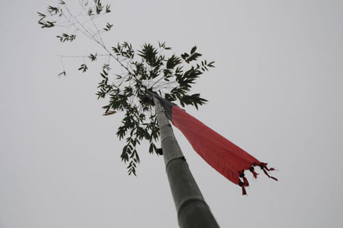  Người Mông làm lễ dựng cây nêu vào ngày lễ nào?