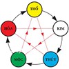 Xem mệnh theo năm sinh chuẩn nhất