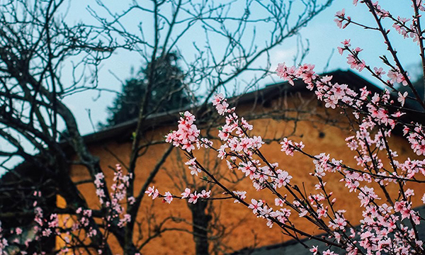 Stt tháng 2 hay nhất