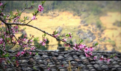 Cảm nhận đoạn cuối bài Vội vàng