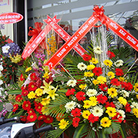 Lời chúc khai trương cửa hàng, công ty hay và ý nghĩa 2025