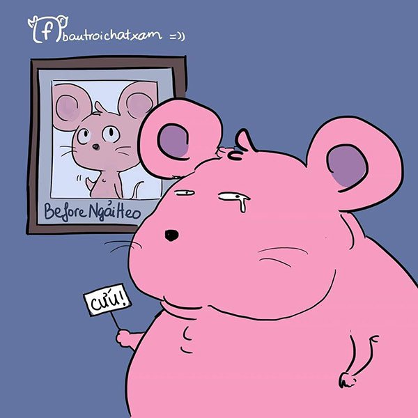 Ảnh chế sau tết